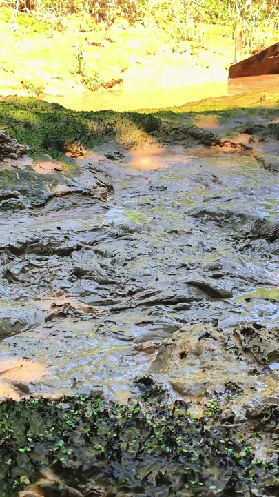 MUD SUBMISSION | Clip 1