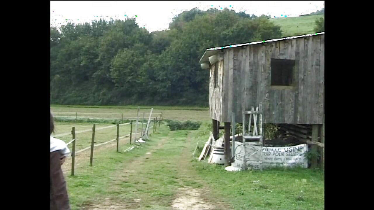 性感女王愛狂野性愛