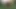 My big sissy ass blow a whole huge cucumber in woods 1 on 2