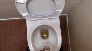 Park tuvalet iffet içinde pissing