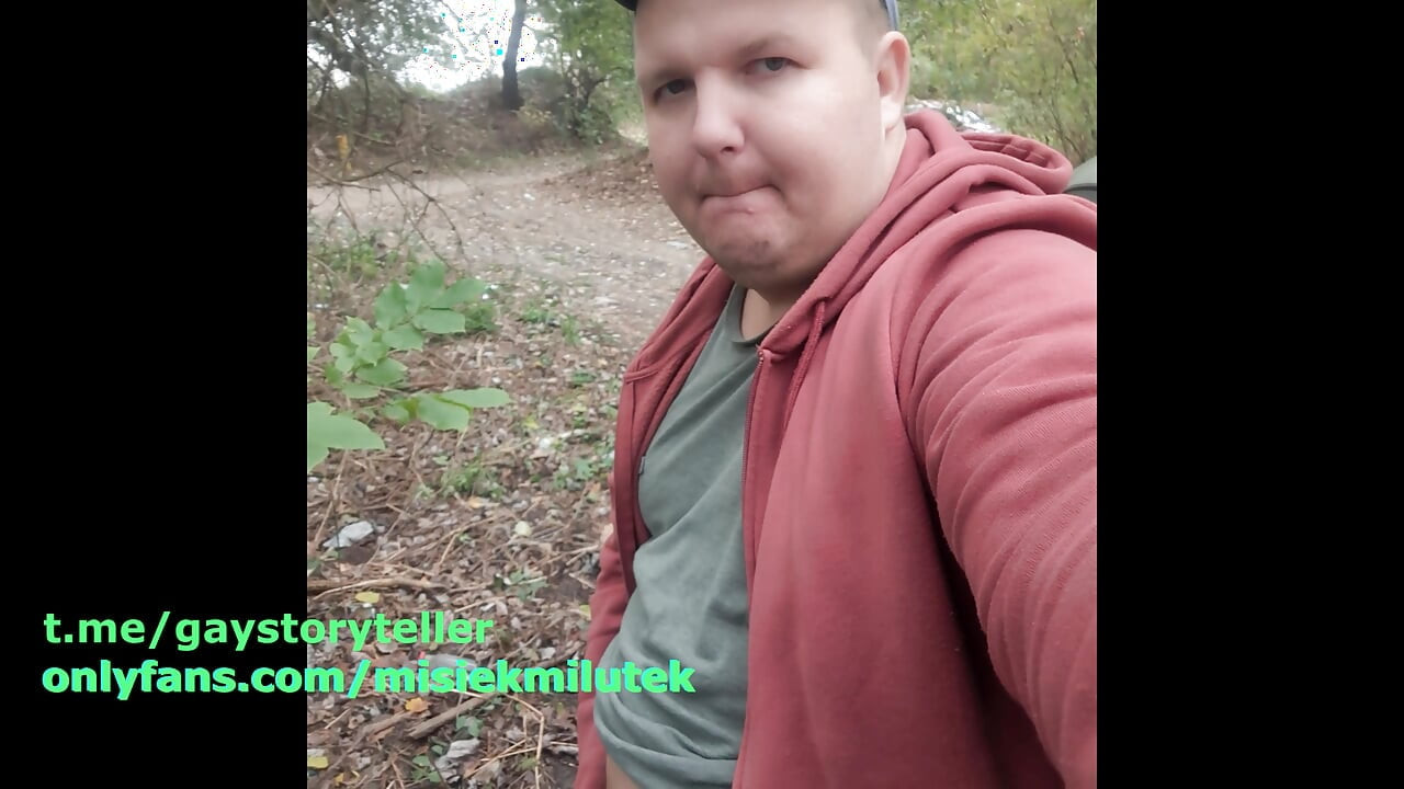 bear masturbation in a car in the woods