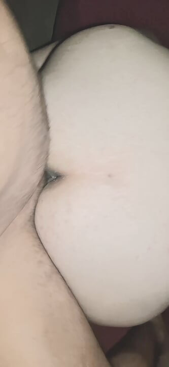 Domaltarak