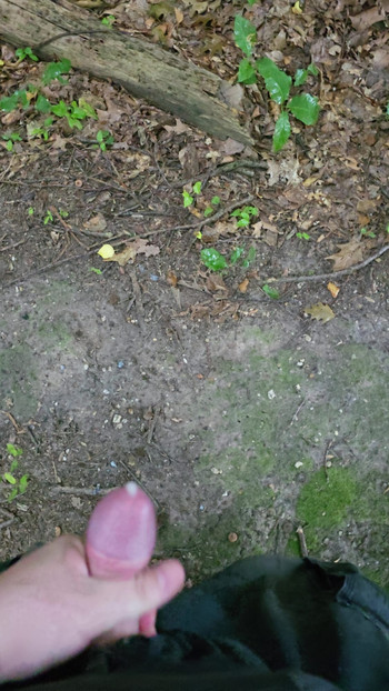 Spontaneously jerking off in the forest in the rain