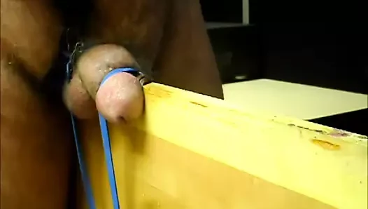 pflege auf dem spanischen Pferd