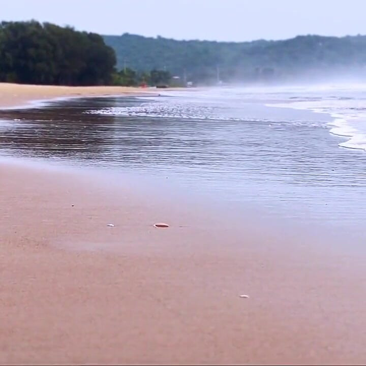 Public Beach Masturbate and Squirt