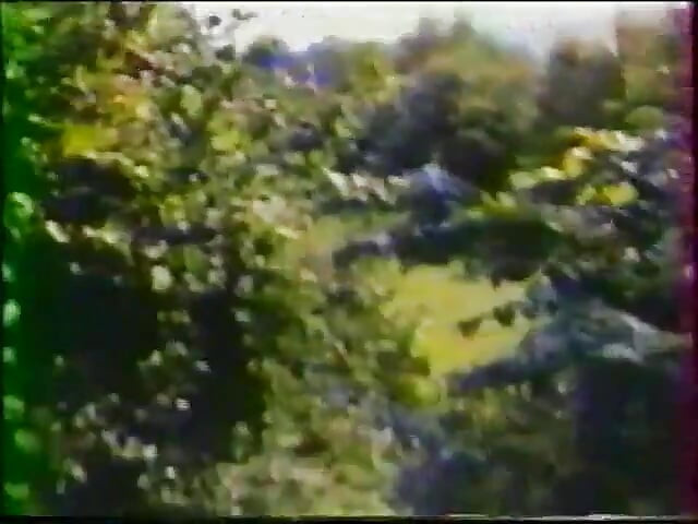 惡習調查 （1977）
