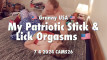 Pregled videozapisa