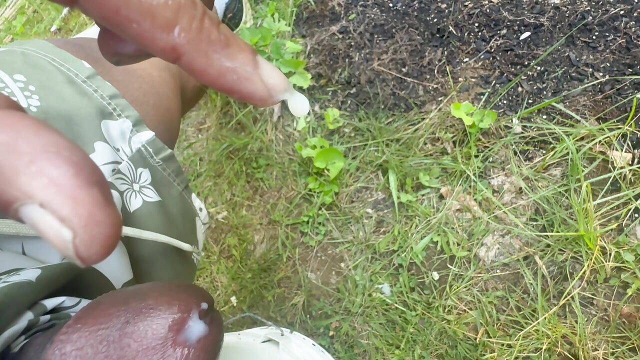 SsecnirpNailati In the backyard 2026