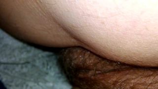 wife pussy lips under the sheets