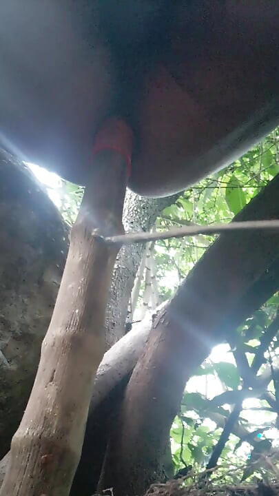 What a delicious stick!. Eater-Ass