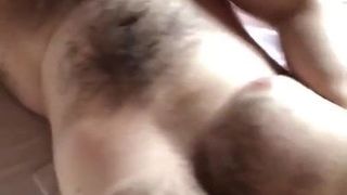 Urso papai masturbando sêmen