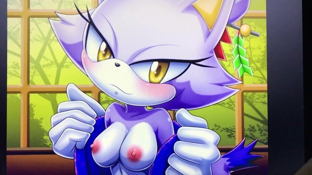 SOP Tribute -- Blaze the Cat