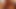 テラ・パトリック出演のヘアスタイリングセッション