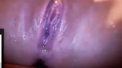 Pemancut mani tulen: Blackjasmin