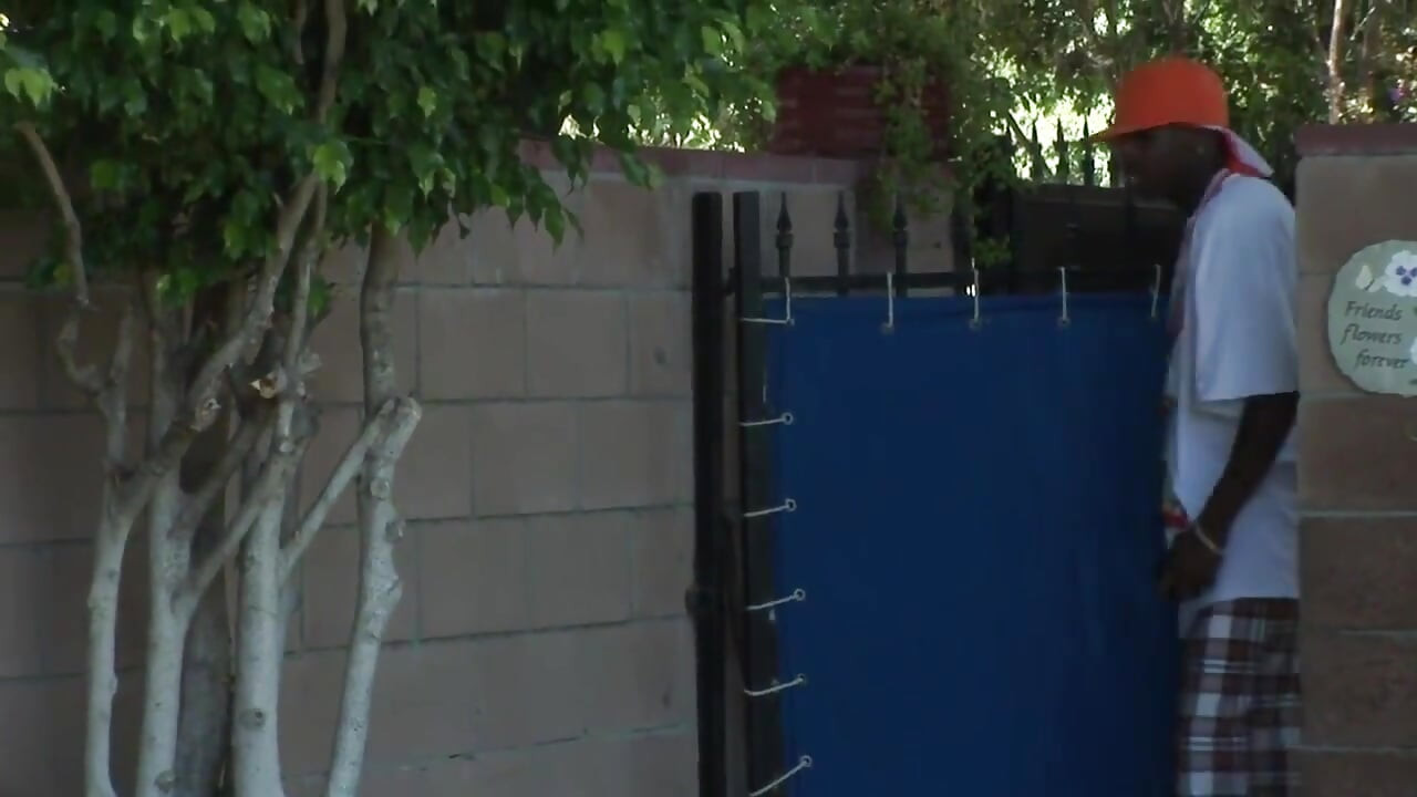 Tattooed petite hairy pussy fucking big black cock sucking