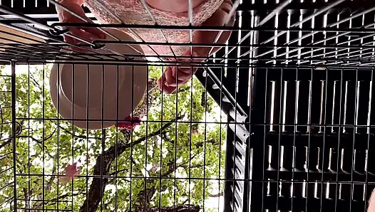 Caged - kronik kehidupan di kakinya