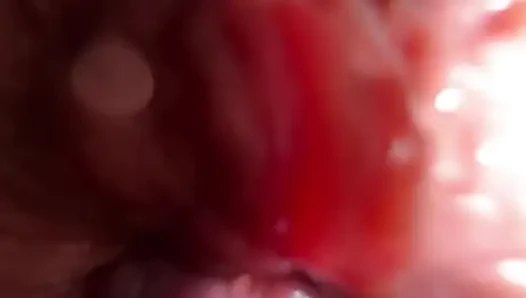 Son derece yakın çekim göte tapma ve konuşma