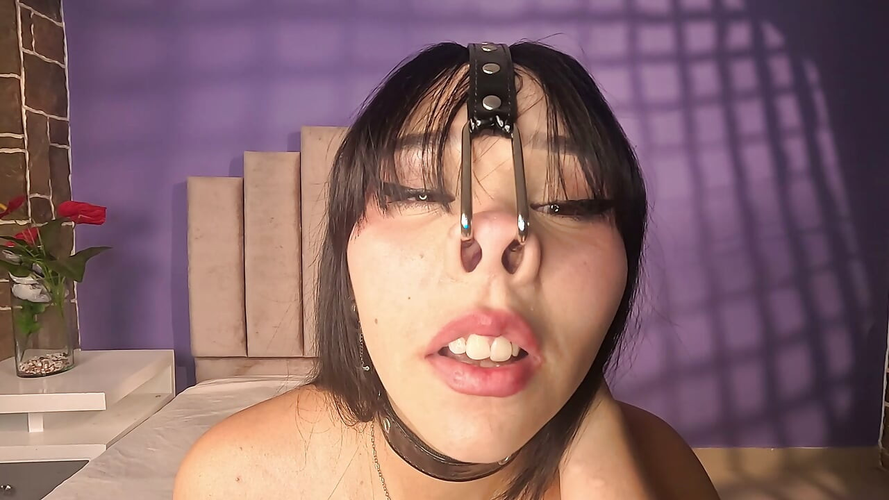 Harnessed Pig Play