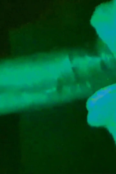 She Went Night Vision and Sucks Dick!!!