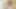 Anna lovato ve michelle thorne oyun ile oyuncaklar içinde lezbiyen sahne