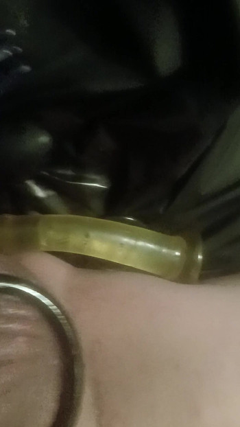 坚硬的伟哥公鸡。如果你愿意，可以得到更多