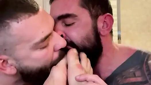 Three Pigs Sniffing Each Other's Stink. Feet, Pits, Balls.