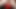 Merry Cuntmas Pussy Pounding Dildo Fuck PussyBoy96