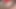 ぽっちゃりはペニスを口に含み、お尻をアナルに収めました