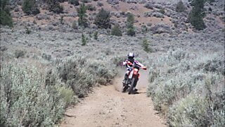 Un motocycliste baise une bombasse!