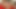 Shemale Midget Masturbating whit Dildo and Cumshot