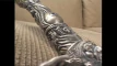 Video pregled