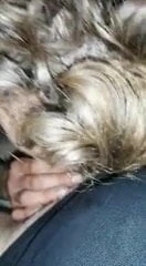 Sucking a stranger