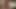 Desi indian south indian Aunty full nude fuck in jungle