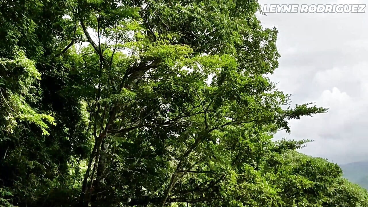 Kepergok lagi ngangkang di luar ruangan! Kompilasi video amatir cewek mungil latina lagi asik di depan umum