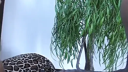 Huge natural black boobs fucking big black vintage cock sucking