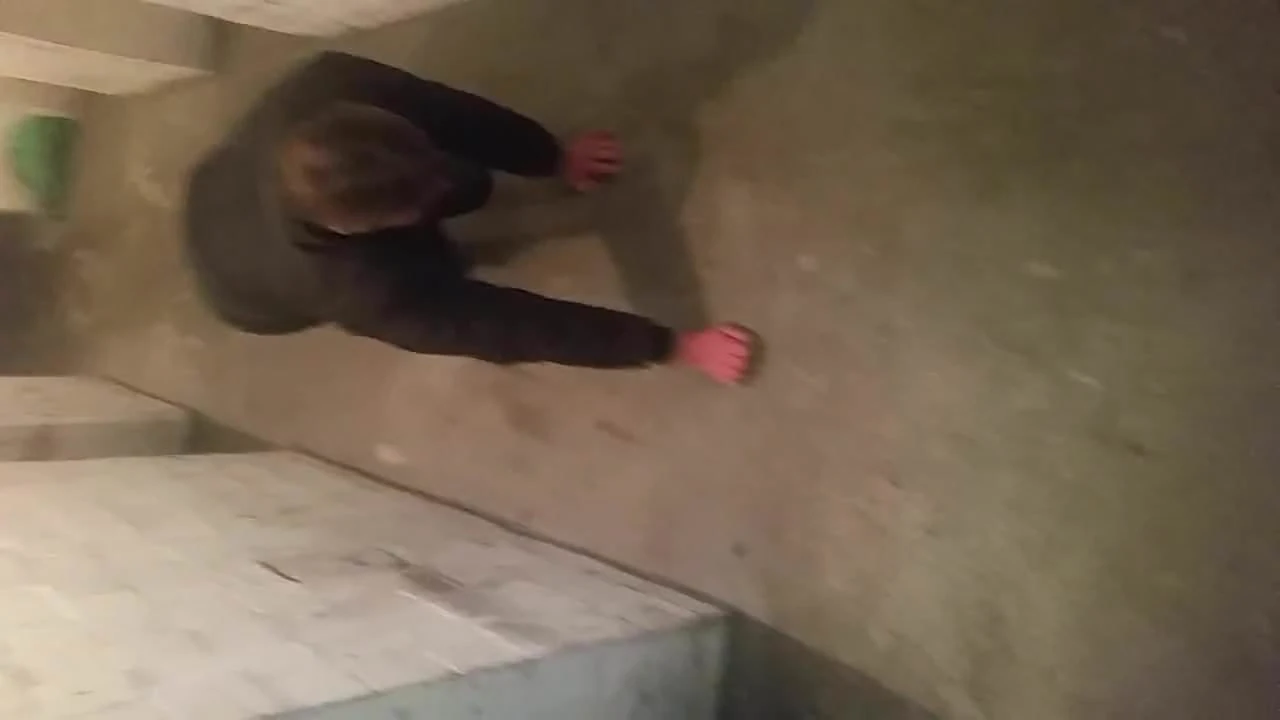 Ungeziefer im Keller