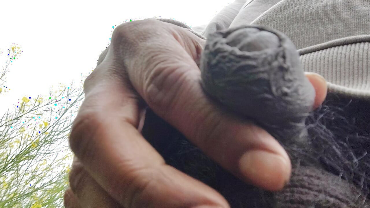 Gaon ka Mausam mein hath se hilane ka Maja