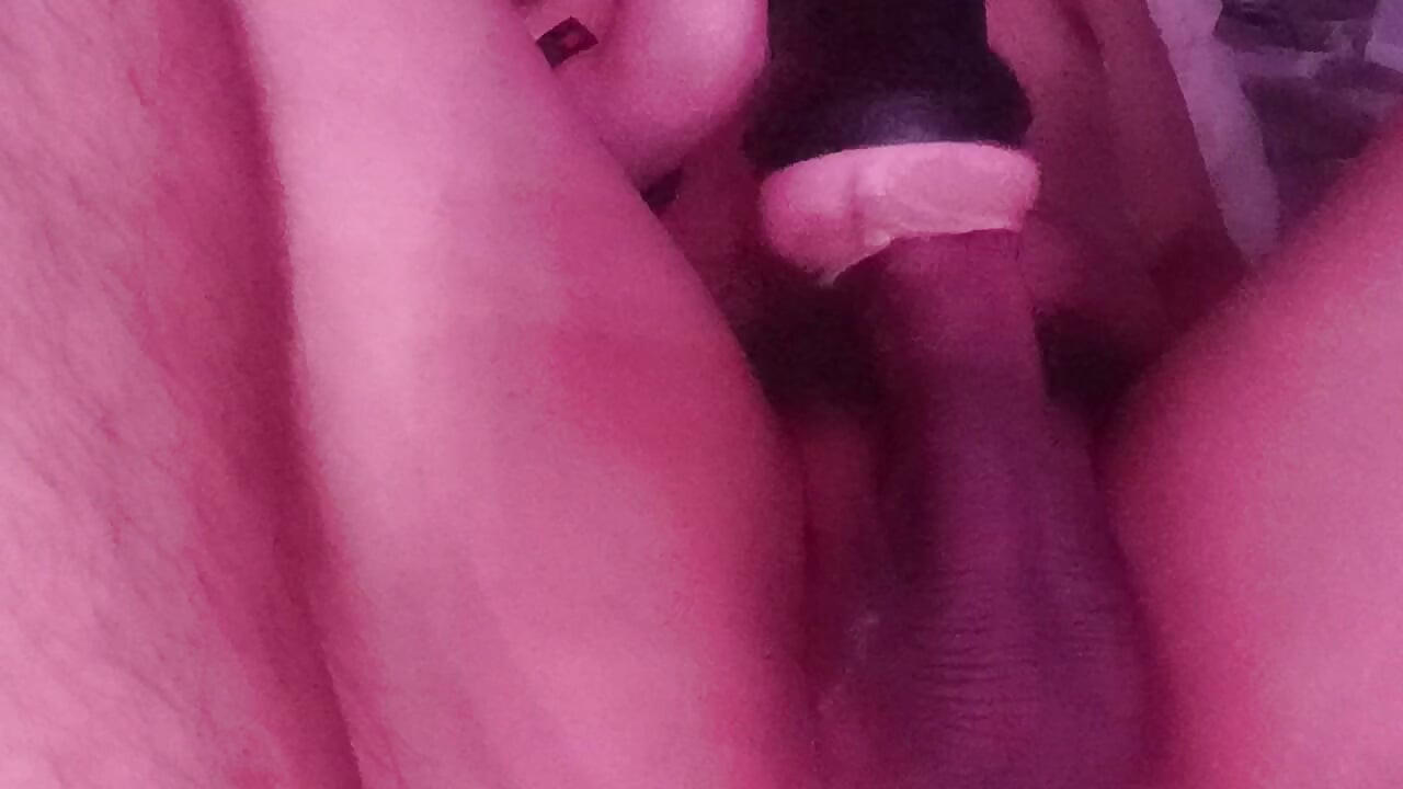 Warm My Milk Day 1664