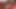 A really attractive brunette woman had her mouth stuffed by a large black genitalia.