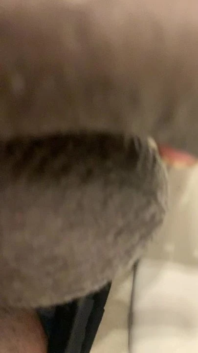 Pee up close bbc