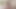 Young tgirl rimmed facesitting by older guy