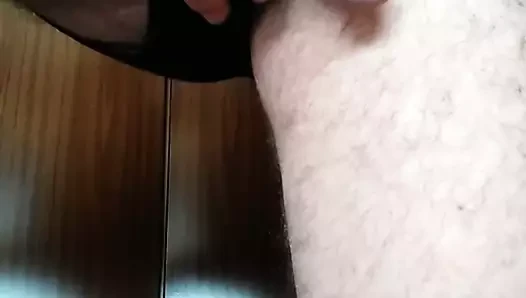 mi polla