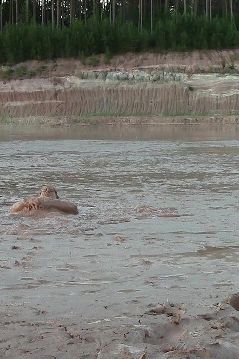 Exploring the Deep and Creamy Mud Pond