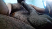 Pratinjau video