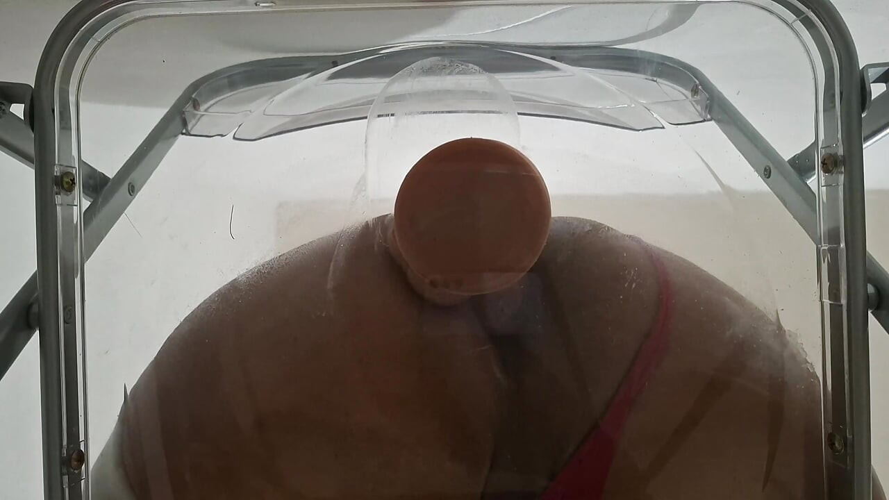 Trans Fat Ass Gwen Facesitting and Anal Fucked with Creampie through Clear Chair for the First Time.
