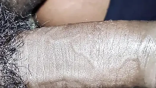 Istri tamil desi mengisap kontol suami datang di mulut