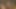 JERKING OFF HOTTEST COCK ON XHAMSTES AND CUMMING LOUD . Strong Orgasm AlexHuff
