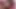 BBW sissy gurl fucking my asspussy dildo DP fuck machine.