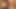 Sperm takas seksi sahne ile büyük boşalmak tatma için iki sıcak