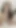 Stunning moment from "Brazilian Alice Lima gives a blowjob and rides a dildo at the motel while recording for her fans"
